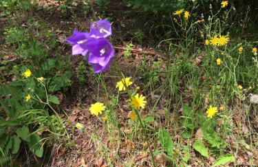 Ferienwohnung Panorama-Blick - Photo 22