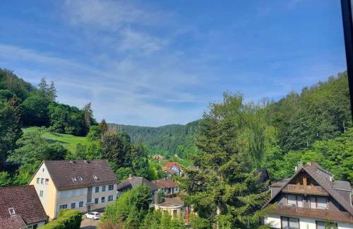 Holiday Home Talblick Zorge - Foto 1