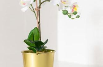 Luxueux et unique - Bobigny - Paris - Foto 20