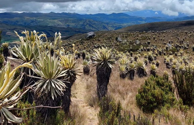 Páramo de Sumapaz Trip - Photo 7
