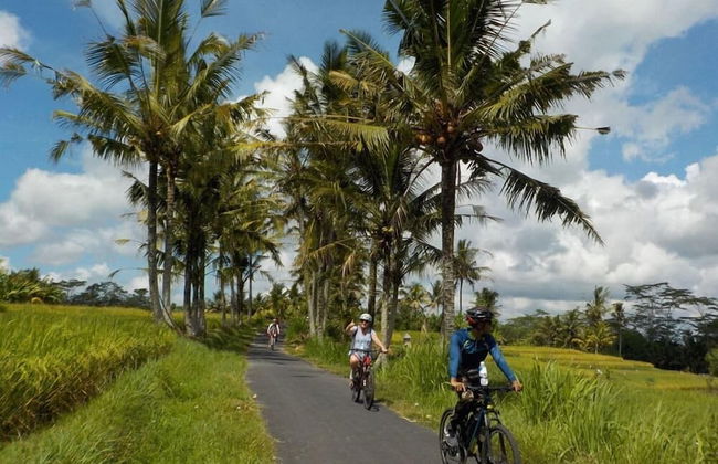 Green Sari Private Villa - Foto 31