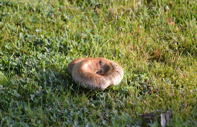 Cozy Escape in Rendeux - Photo 34