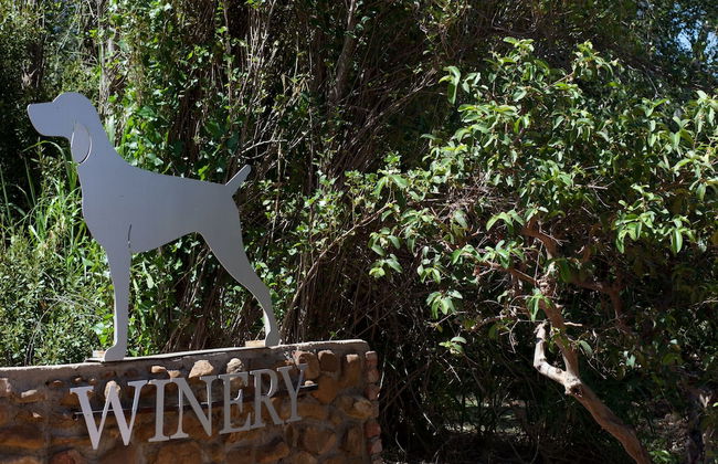 Dunstone Country House - Foto 49