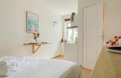 Canopee rue Carnot Annecy - Foto 8