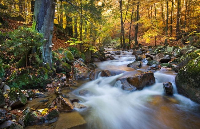 Apartment Haus am Berg, Lonau - Foto 79