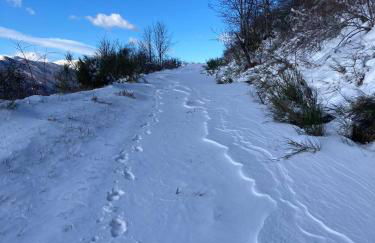 Casa Sperandini - Foto 41