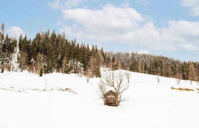 Sunny Apartment in Wagrain - Foto 65