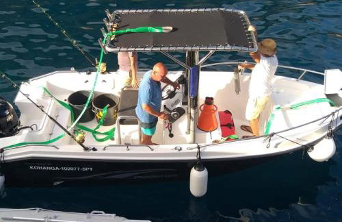 Achadas da Cruz Farm House - Foto 27