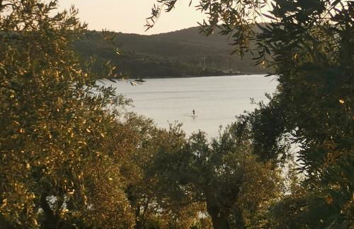 Saint Andrews Bay - Foto 32