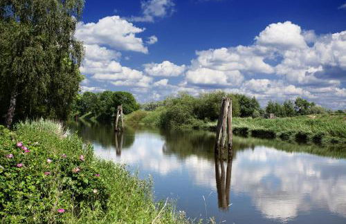 Ferienwohnung Gosch am Lühedeich - Photo 22