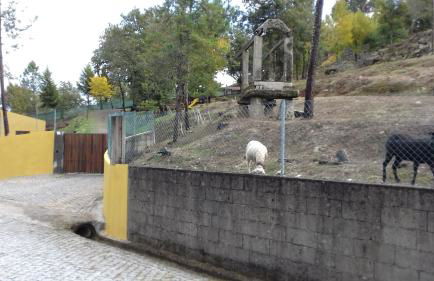 Casas de Canavezes - Foto 4