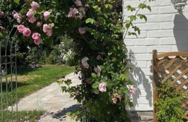 FeWo am Kurpark - Foto 12