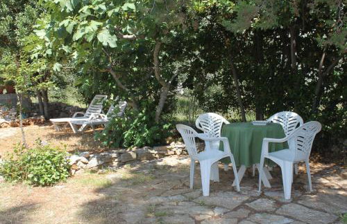 Seaside holiday house Verunic, Dugi otok - 8126 - Foto 8