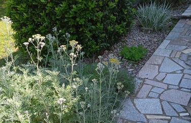 Apartments Nina - Photo 6