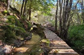 Quinta da Alqueidosa - Casa de Campo - Foto 41