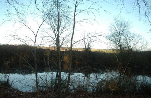 Jadgschloss zu Hohen Niendorf - Photo 11