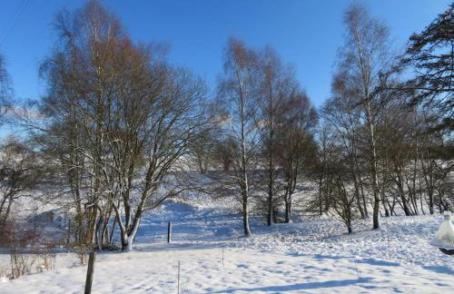 Rose red, coach house by the pond - Foto 17