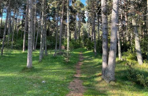 Apartamento Masella pie de pistas. Ideal familias - Foto 32