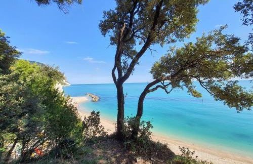 Agriturismo Rosa Antica - Foto 28