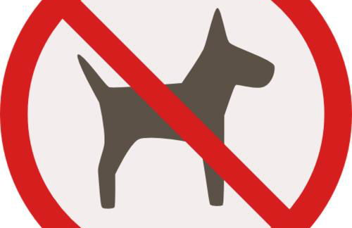 Ferienwohnungen am Matthiasturm - Photo 45