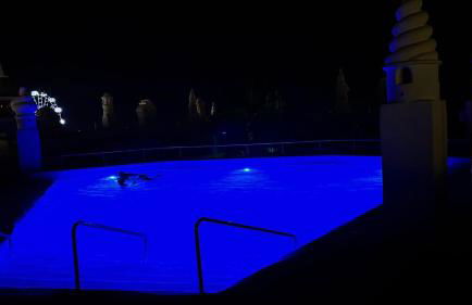 Wonderful Apartment in Puerto Marina - Photo 51