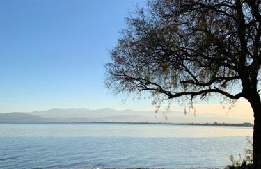 Holidays Pelion studio - Foto 20