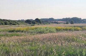 2 High Silver House - Foto 40