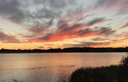 Sternkieker - Photo 19