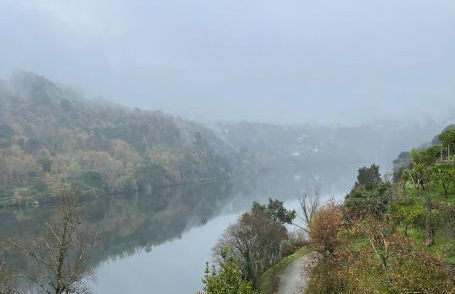 Quinta da Ribeirinha - Douro River - Foto 49