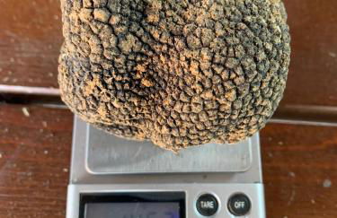 Casa Crevole - Foto 27