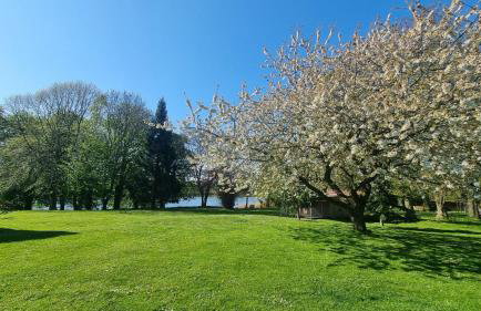 Gutshof Kämmerich - Fewo Dachshöhle - Foto 12