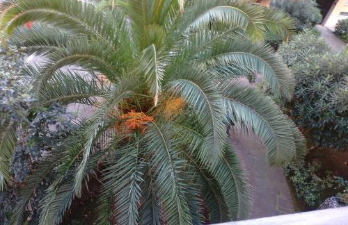 CASA D ARTE MARY 3 camere da letto 2 bagni salotto - Foto 26