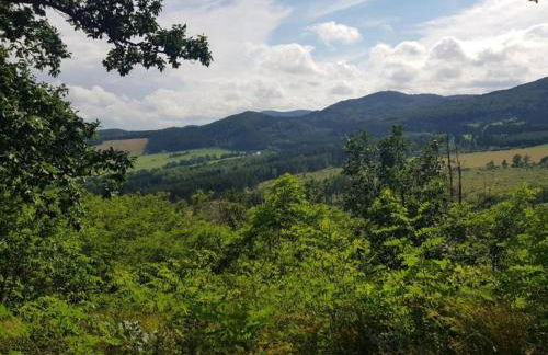 Ferienhaus in Medebach nahe Skigebiet - Foto 33