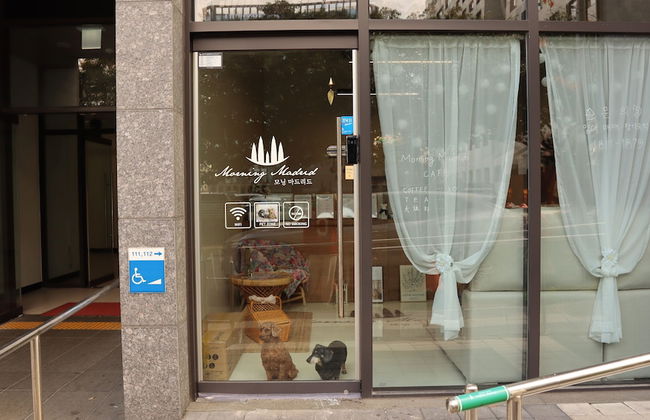 Morning Madrid - Foto 1