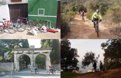 Holiday home in Muntic - Istrien 10956 - Foto 24