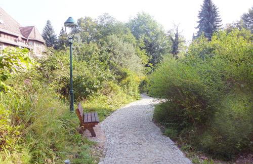 Villa-Hufeland - Foto 37