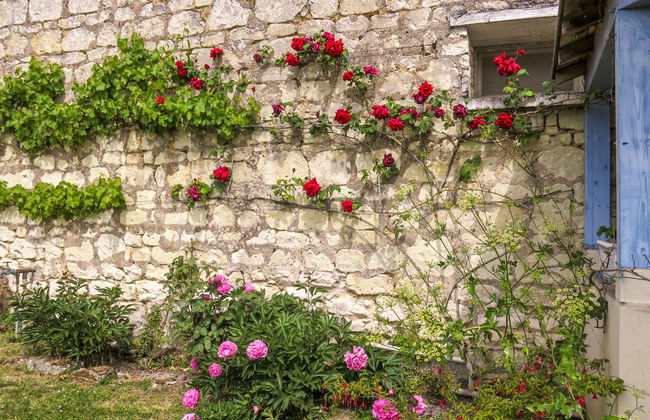 Gîte Le Landhuismes - Foto 19