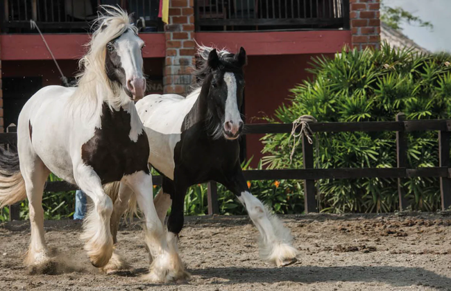 Parque Panaca Day Trip - Photo 4