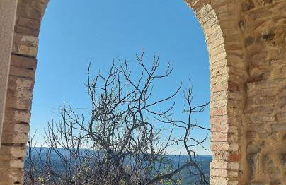 Luce di Toscana Cottage in pietra con giardino tutto in uso esclusivo - Foto 6