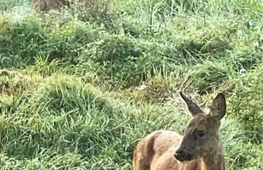 L'armorique - Foto 16