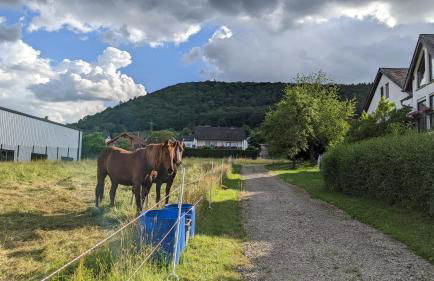 Weingut Harald Ludwig - Foto 7