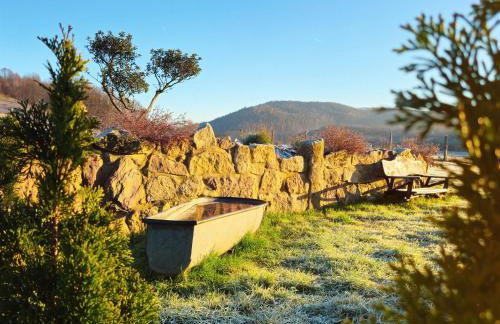 Lawendowy Raj - Foto 77