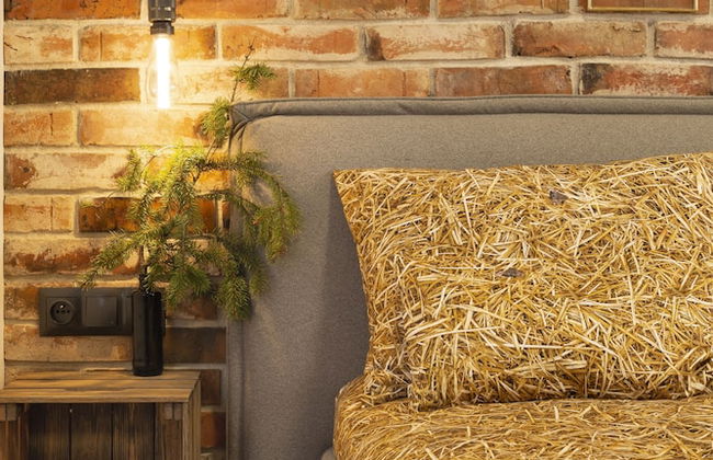 Green Deer Premium - Foto 50