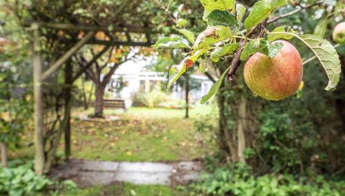 The Whins, Aldringham - Foto 5