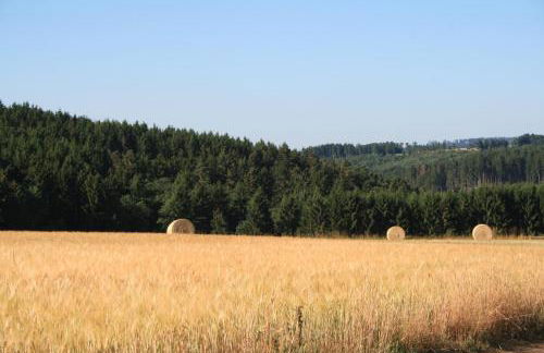 Eifelcottage - Photo 18