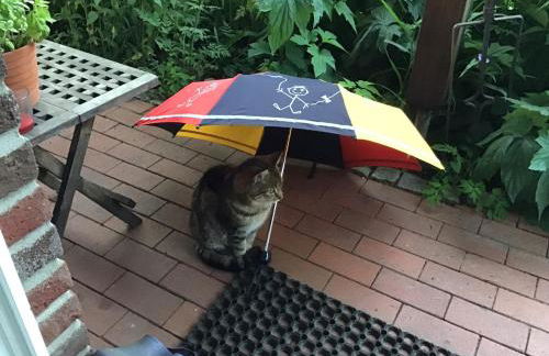 FeWo Spitzweg, Garlstorf - Lüneburger Heide - Foto 45