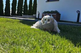 Domki U Sieronia - Foto 35