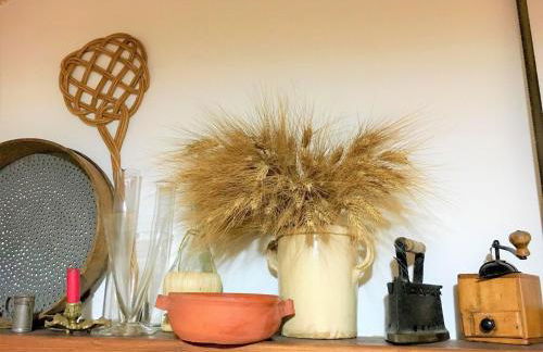 Patanella Wine - Foto 12