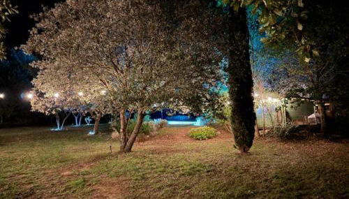 La Bastide des Chênes Lacoste - Photo 2, Garden