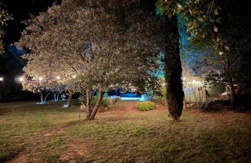 La Bastide des Chênes Lacoste - Photo 2